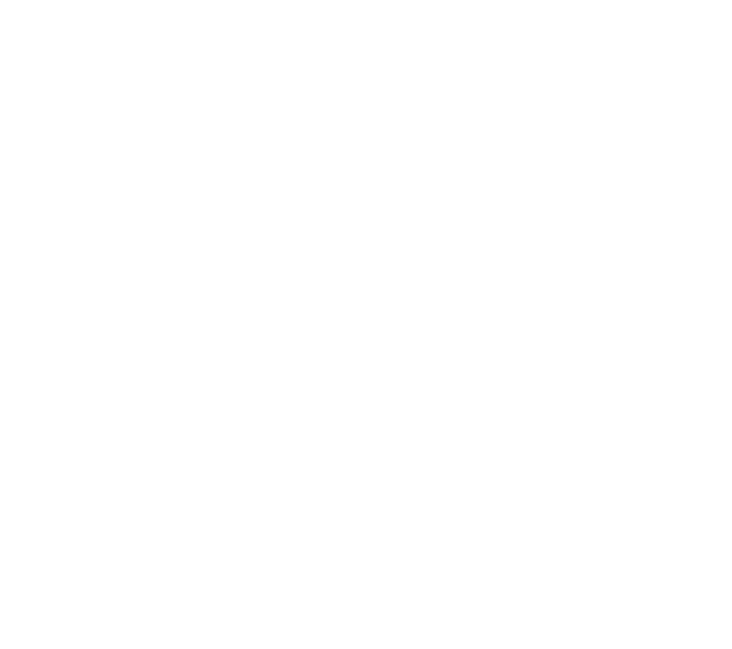 fundacion blanco